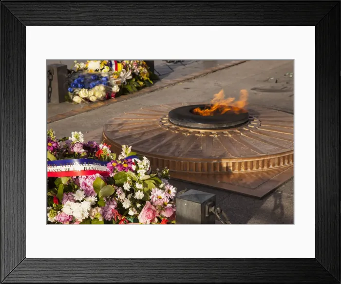 Framed Print : DDE-90029420