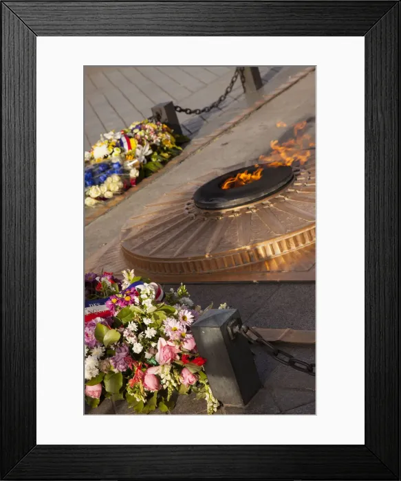 Framed Print : DDE-90029419