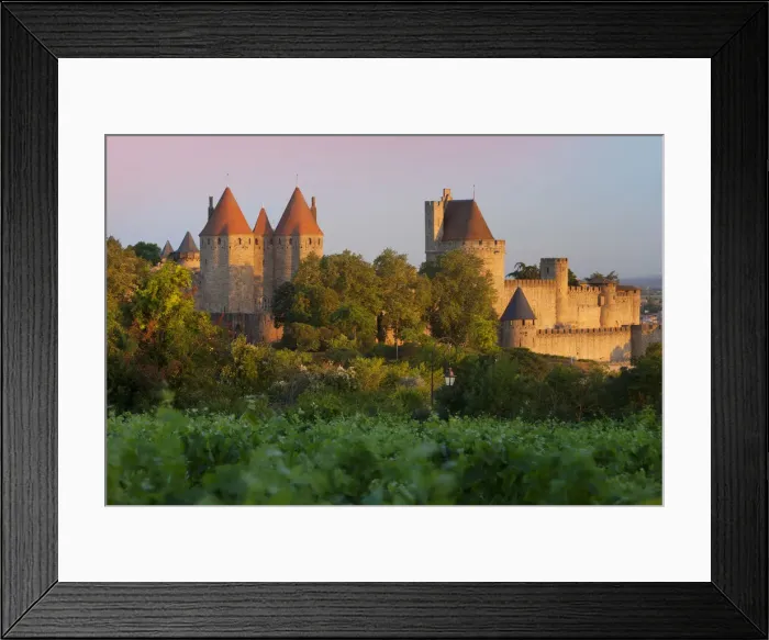 Framed Print : DDE-90029453 Framed Print : DDE-90029453