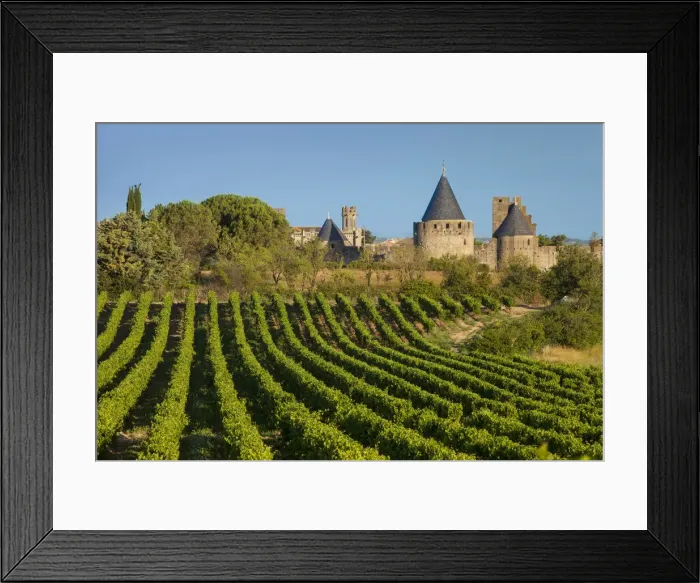 Framed Print : DDE-90029454 Framed Print : DDE-90029454