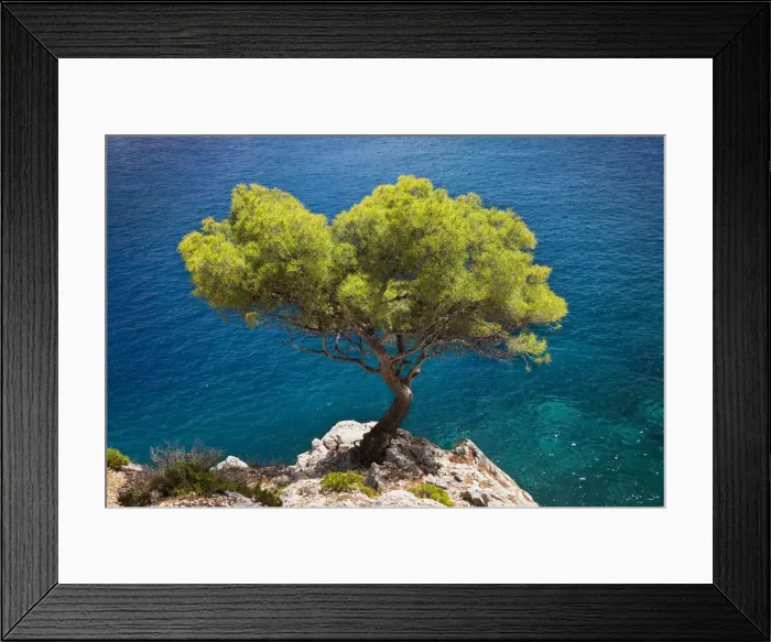 Framed Print : DDE-90029471 Framed Print : DDE-90029471