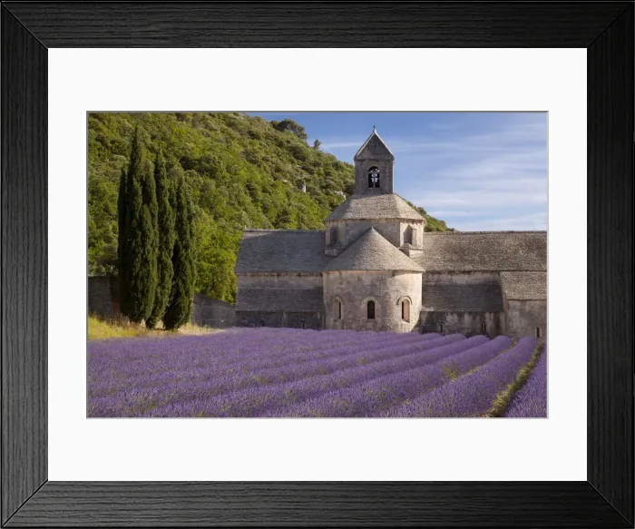 Framed Print : DDE-90029477 Framed Print : DDE-90029477