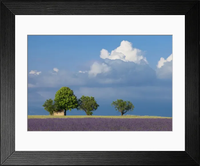 Framed Print : DDE-90029487 Framed Print : DDE-90029487