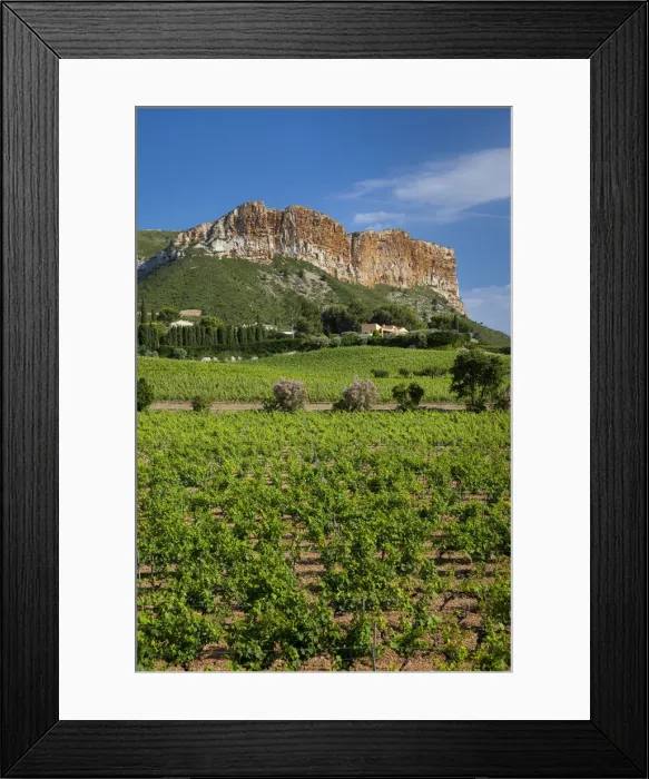 Framed Print : DDE-90029493 Framed Print : DDE-90029493