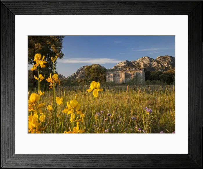 Framed Print : DDE-90029494 Framed Print : DDE-90029494
