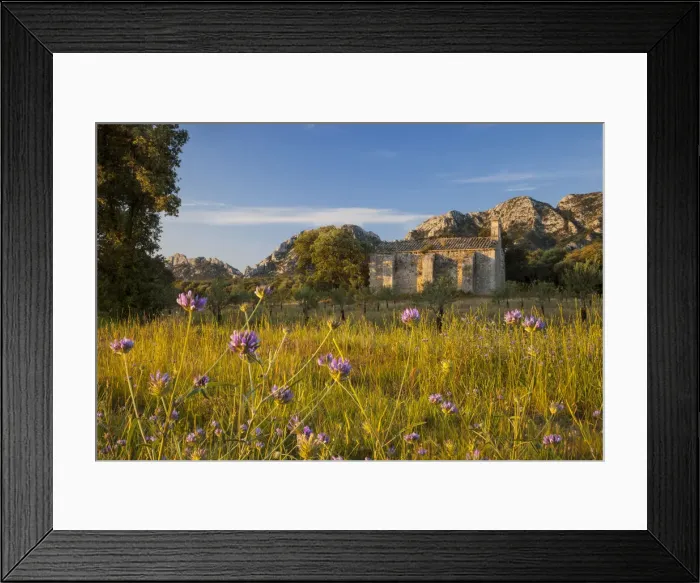 Framed Print : DDE-90029495 Framed Print : DDE-90029495