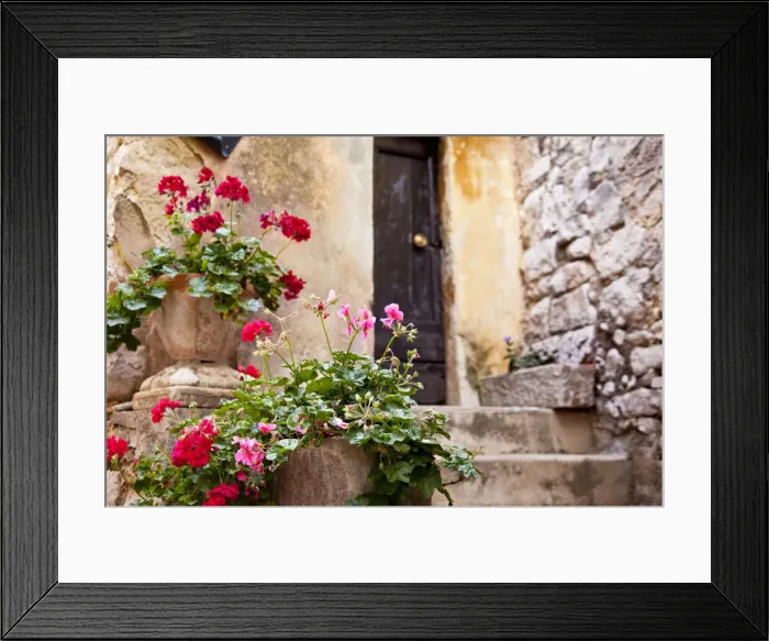 Framed Print : DDE-90029537 Framed Print : DDE-90029537