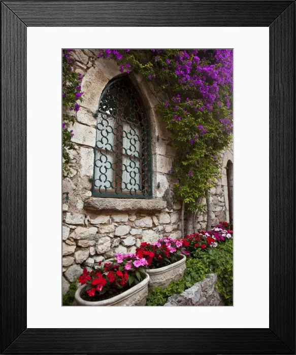 Framed Print : DDE-90029538 Framed Print : DDE-90029538