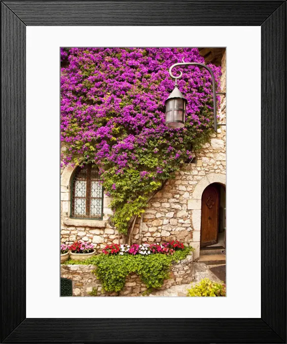 Framed Print : DDE-90029541 Framed Print : DDE-90029541