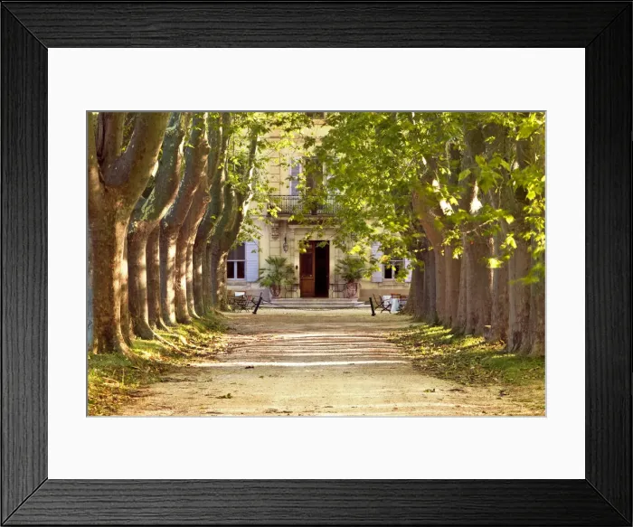Framed Print : DDE-90029547 Framed Print : DDE-90029547