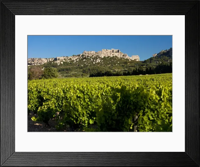 Framed Print : DDE-90029548 Framed Print : DDE-90029548
