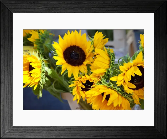 Framed Print : DDE-90029556 Framed Print : DDE-90029556