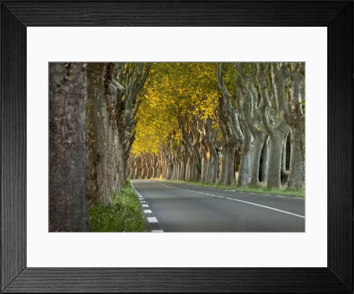 Framed Print : DDE-90029559 Framed Print : DDE-90029559