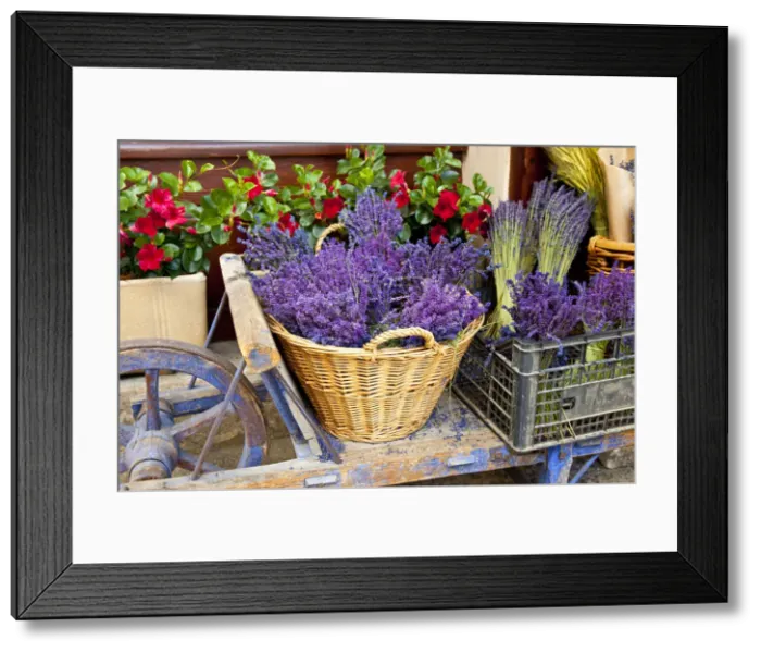 Framed Print : DDE-90029568 Framed Print : DDE-90029568