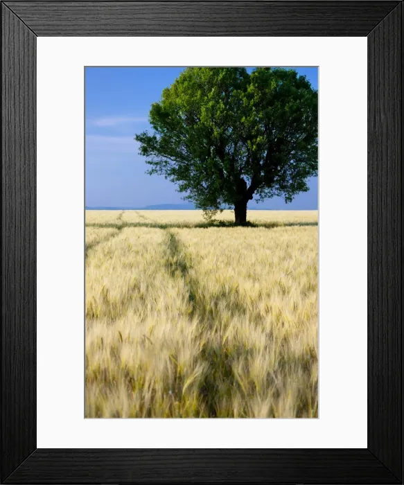 Framed Print : DDE-90029571 Framed Print : DDE-90029571