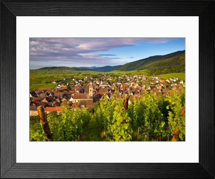 Framed Print : DDE-90029573 Framed Print : DDE-90029573