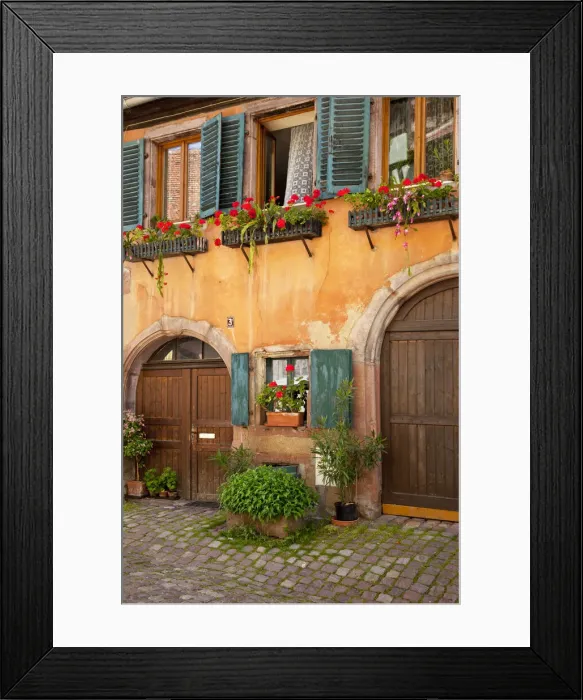 Framed Print : DDE-90029577 Framed Print : DDE-90029577