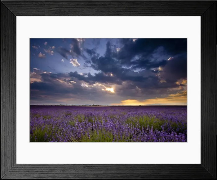 Framed Print : DDE-90029579 Framed Print : DDE-90029579