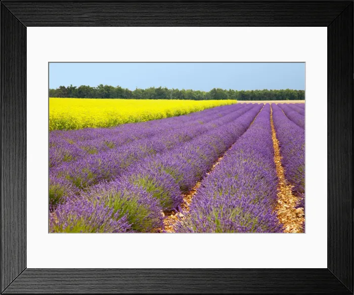 Framed Print : DDE-90029578 Framed Print : DDE-90029578