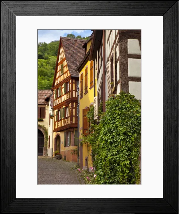 Framed Print : DDE-90029581