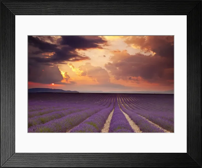 Framed Print : DDE-90029580 Framed Print : DDE-90029580