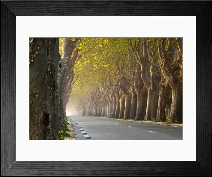 Framed Print : DDE-90029582 Framed Print : DDE-90029582