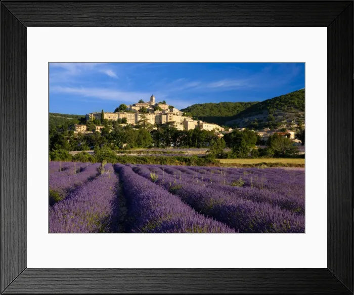 Framed Print : DDE-90029603