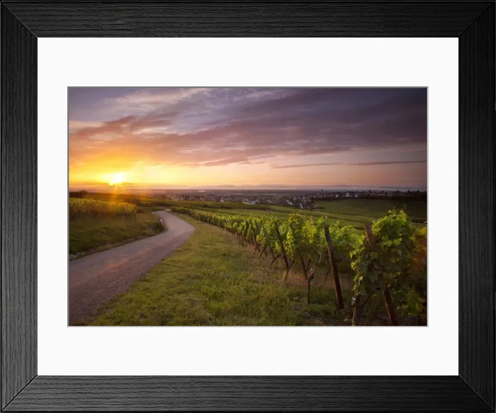 Framed Print : DDE-90029605