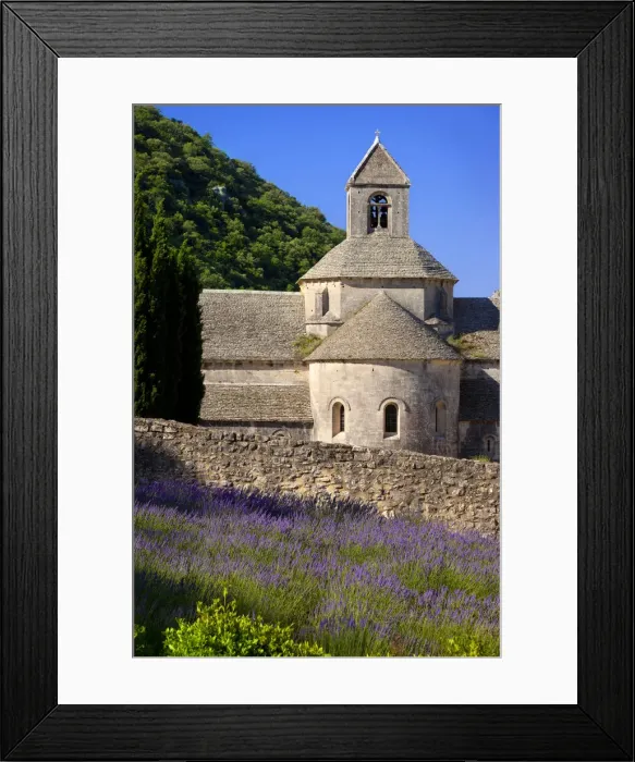 Framed Print : DDE-90029608 Framed Print : DDE-90029608
