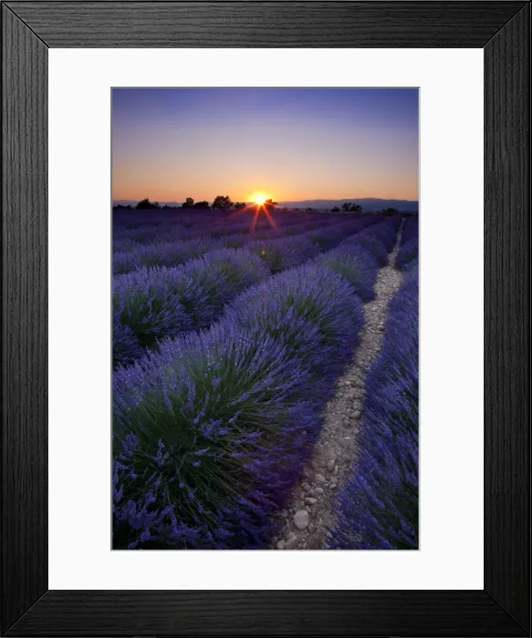 Framed Print : DDE-90029610 Framed Print : DDE-90029610