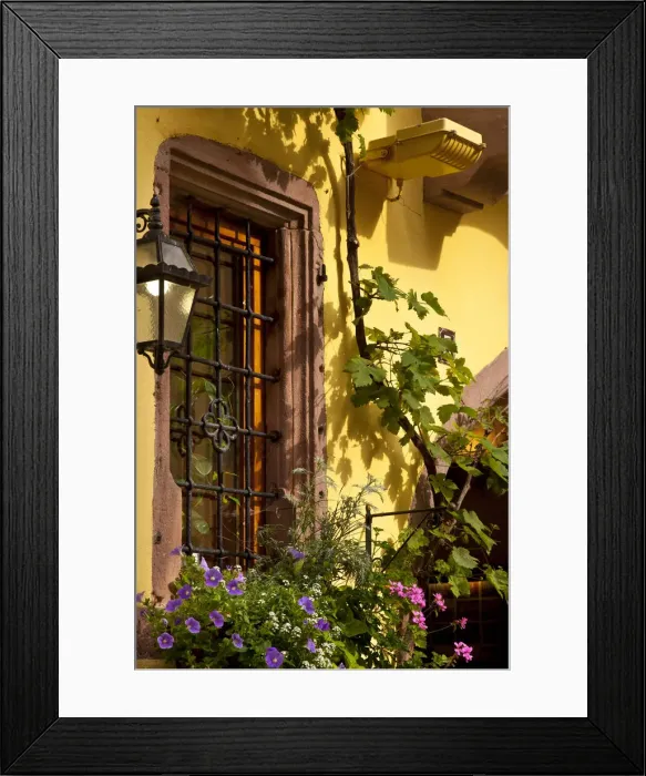 Framed Print : DDE-90029609 Framed Print : DDE-90029609
