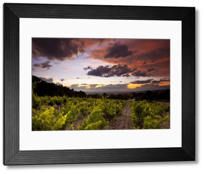 Framed Print : DDE-90029612 Framed Print : DDE-90029612