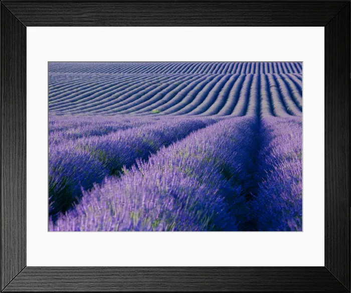 Framed Print : DDE-90029613 Framed Print : DDE-90029613