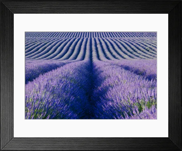 Framed Print : DDE-90029614 Framed Print : DDE-90029614