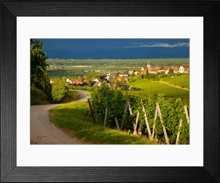 Framed Print : DDE-90029621