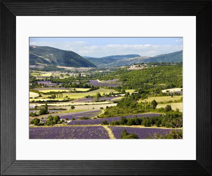 Framed Print : DDE-90029623 Framed Print : DDE-90029623