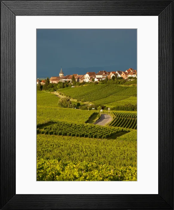 Framed Print : DDE-90029622 Framed Print : DDE-90029622