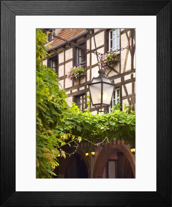 Framed Print : DDE-90029625 Framed Print : DDE-90029625