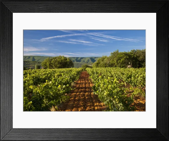 Framed Print : DDE-90029629