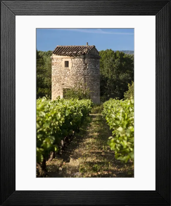 Framed Print : DDE-90029630