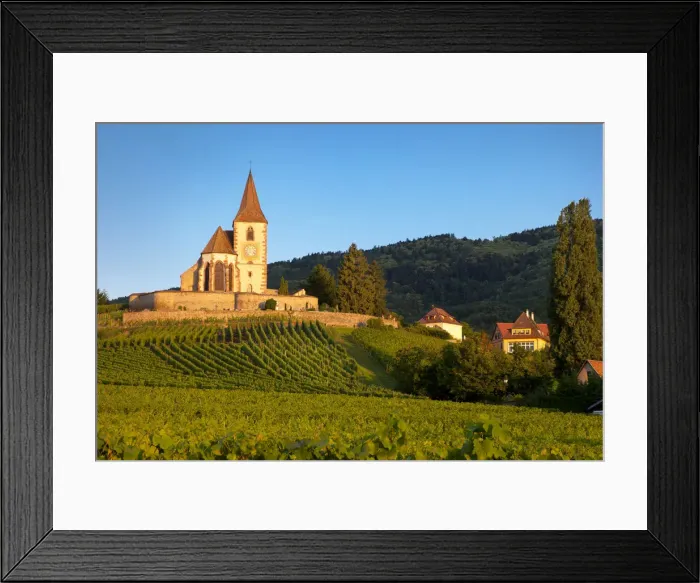 Framed Print : DDE-90029632 Framed Print : DDE-90029632