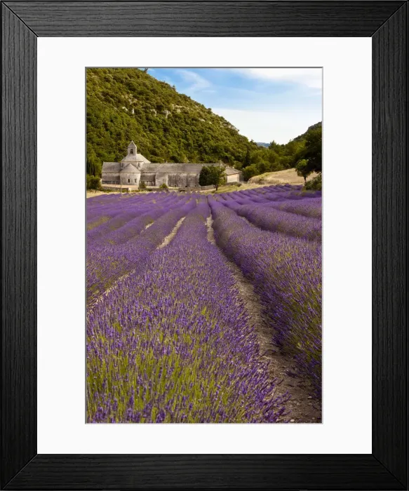 Framed Print : DDE-90029631 Framed Print : DDE-90029631