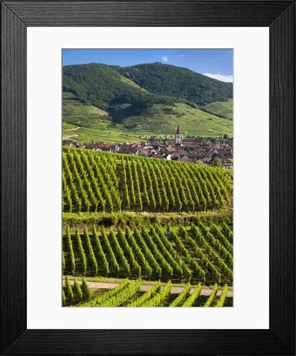 Framed Print : DDE-90029635 Framed Print : DDE-90029635