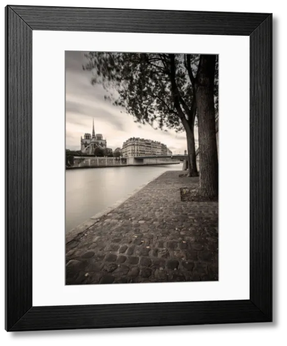 Framed Print : DDE-90029639