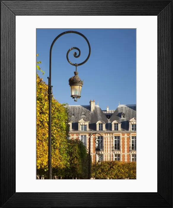 Framed Print : DDE-90029638 Framed Print : DDE-90029638
