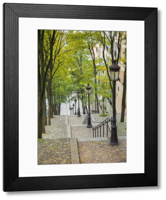 Framed Print : DDE-90029664 Framed Print : DDE-90029664