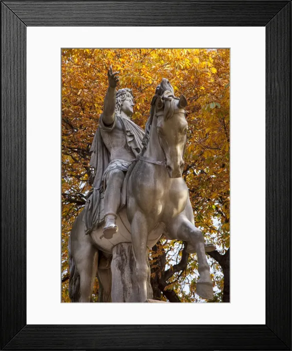 Framed Print : DDE-90029667 Framed Print : DDE-90029667