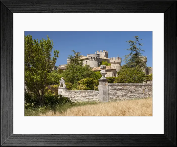 Framed Print : DDE-90029675