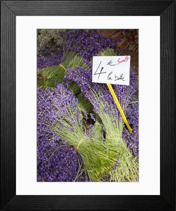 Framed Print : DDE-90029686