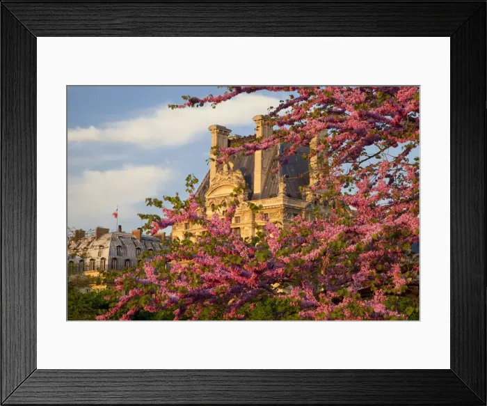 Framed Print : DDE-90029693 Framed Print : DDE-90029693